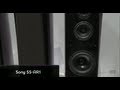 New Sony SS-AR2 Speakers at CES 2012, Exclusive Interview
