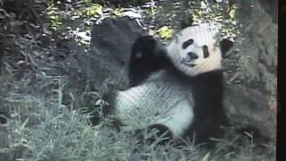 Smithsonian National Zoo