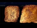 Evolution Lies Evolution Lies