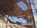 videos de Teramo: Eternit nel quartiere Gammarana