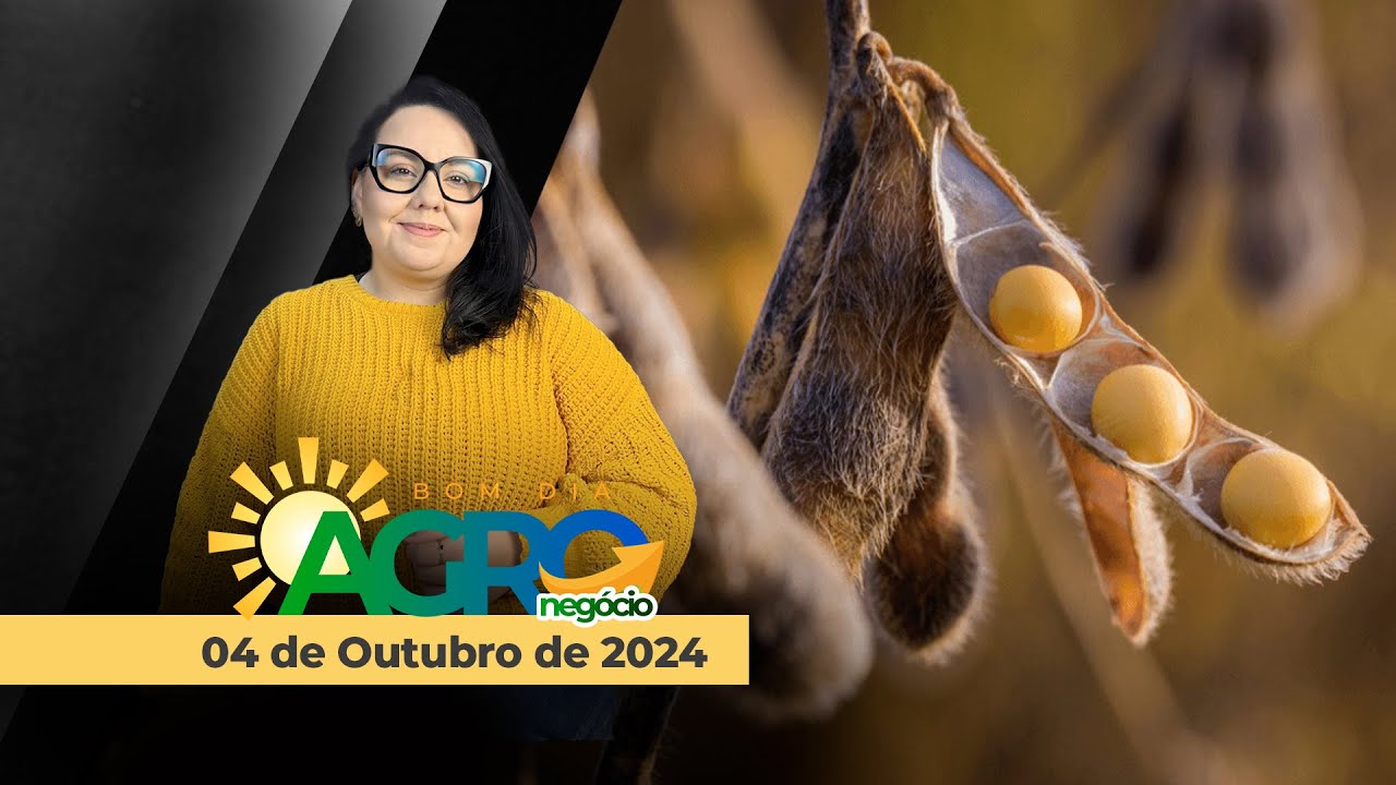 Bom dia Agro 04/11/24 - Altas na bolsa de Chicago