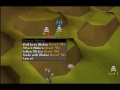 E L V I A N pk vid #5 (99 Str)