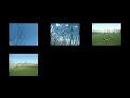Fulton - MI - Schoolyard - Times 6