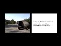 Swarm Intelligence