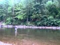Spey Casting