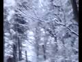 videos de Sulla neveeeee 6 gen 2009