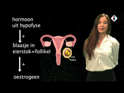 youtube rencontre du 3ème type