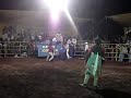REBELDE VS TORO EL ALGODON