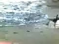 tsunami(tunami) tsunami(tunami)