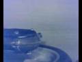 videos de fiamme liberty grumo nevano