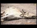 Climate change in Turkana