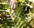 Unexplainable sightings