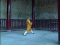 Tong Bei Quan