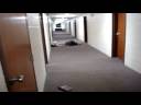 The Good Samaritan.wmv