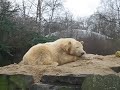 Knut und der Sandthron :-)