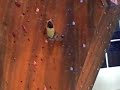 Chris Sharma Rock Climbing Nationals 08 (HUGE Fall)