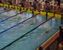Tom (OZV) 200 VS Euromeet 2008