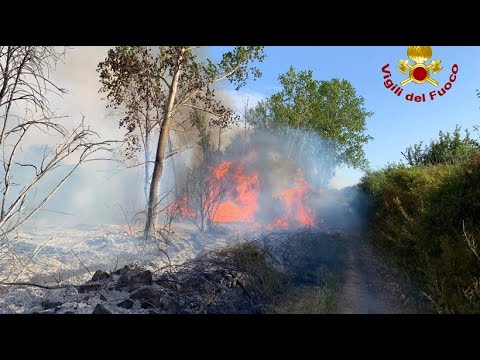 Waldbrand auf Sardinien - ein Ort wurde geräumt
