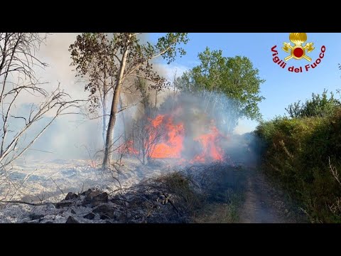 Waldbrand auf Sardinien - ein Ort wurde gerumt