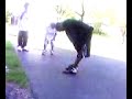 Workin in da Driveway