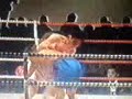 Thriller at the Peak-ProBoxing in Malaysia by DPS