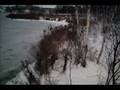 videos de Nature 2008 11 21