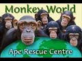 Borm Free-Tribute To Jim Cronin And Monkey World