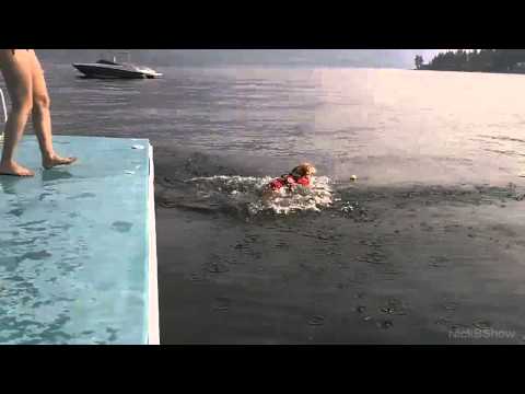 Corgi Flop Superman Remix