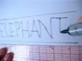 Amblin Elephant