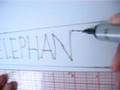 Amblin Elephant