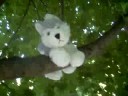 webkinz rare tree