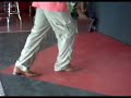 salsa Madness Guno Grolsch shine hook & points