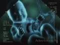 videos de Banned Commercial Carl's Jr. Baby