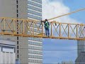 Crane Walking