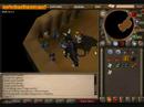 The Grand Tree Quest The Grand Tree Quest