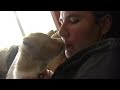 adopted-a-puppy-named-butterscotch.html