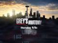 Grey's Anatomy S5E21 sneak peek