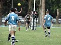 try zurdo vs comercial