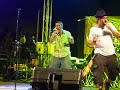 il grandissimo gruppo misto salentino-toscano: working vibes in concerto a caprarica estate 2007....imperdibile...yesman