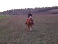 balade