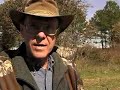 Changing Animal Population