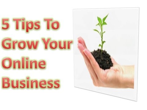 how to grow ebay business