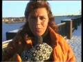 Centrum - ZTV
