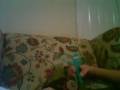 videos de GUMBY