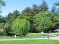 UC Berkeley Campus Tour En Español