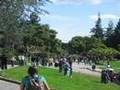 UC Berkeley Campus Tour En Español