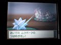 ポケットモンスター　ハートゴールド　バトルキャッスルＶＳコクラン