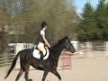 Eventing club - time n i showjumping round.