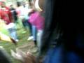 videos de nelas pictures 237.avi