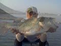 Golona en el Ancon